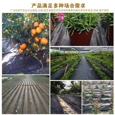 防草布抗老化园艺地布果园果树遮草盖草布大棚加厚地膜农用除草布